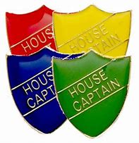 House Captains | Tarves Primary School and Nursery